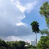 Natural clicks