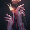 🌷T:&:E🌷