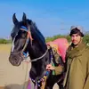 samiullah.khan9045