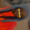 hoozambe52