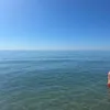 abbie_dillon