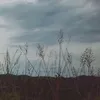 fencemu547