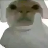 thangnjtgayvc