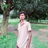 md.mibul7