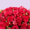 saim5261401172882