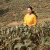 parbati.paudel03