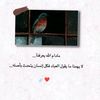 user9105752314277