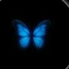 user8103669607121
