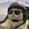 CatsExplicam