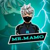 mr.mamo100k