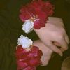 misss_rosse