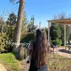 blossam677