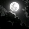 user3298019811051