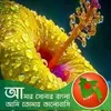 maruf.abul