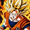 muhamd_313_