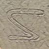 zanellaxx7