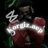 korgiz.aep