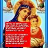 user8812281951860