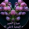 amt.we