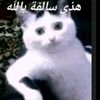 karrbi_711