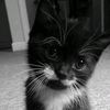 zoey_loll3