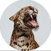 kitti_t3n8