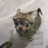 armando44314