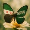 محمد العجمي