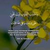 salmah3941
