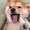 huynhthuy_55