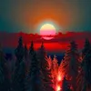 zakariasaqi5