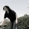 .313802829