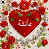 tiktok.comishababy209