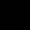 am_z015