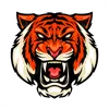 vanhong_tk3_chii