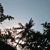 tanaj058