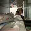 ngoc.le5172