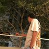 luis.guerra8738