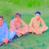 saleemkhan5336