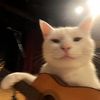 epicthemusical34