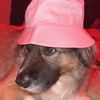 roadman_riley