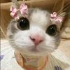 user737126155