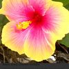 user684192012167