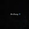 mr.dung473