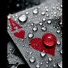 user16970274633215