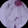 h.d.h.r.a