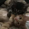по ту сторону света ❤🧛‍♂️