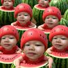 farsai_833