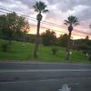suzie.g033