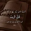 saba.jani394
